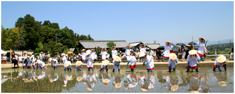 お田植え祭1
