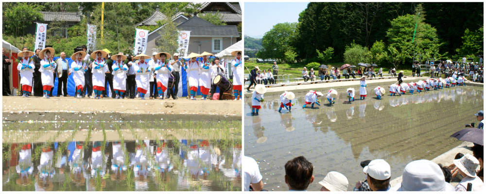お田植え祭4