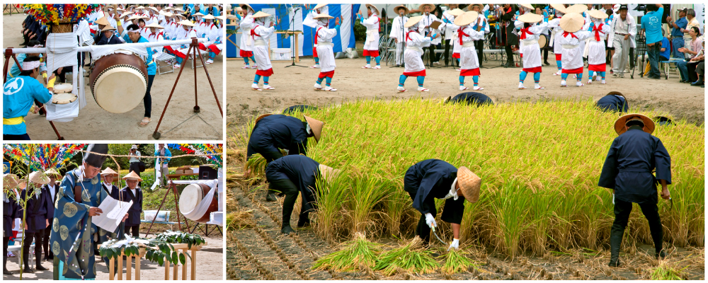抜き穂祭3